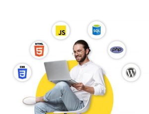 توسعه دهنده وردپرس کیست و فرصت‌های شغلی آن کدام است؟